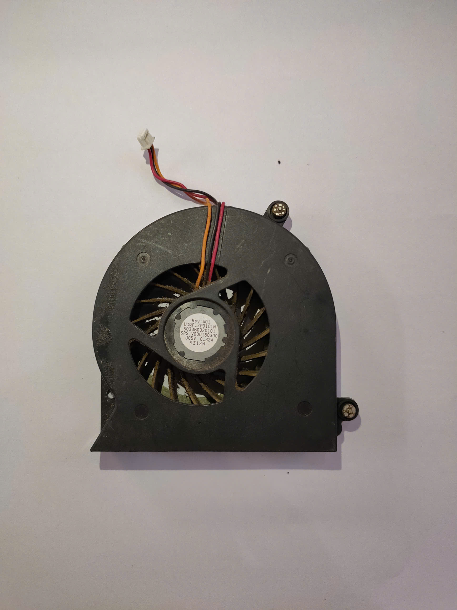 z7223403094032_d1d5e83ad77fb5d70f645f6f0e32052b